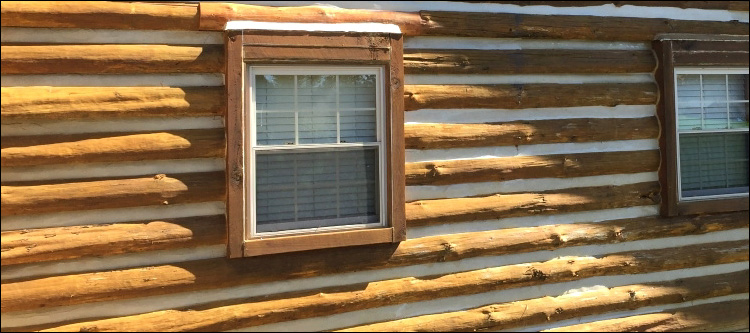 Log Home Whole Log Replacement  Fredericksburg City, Virginia