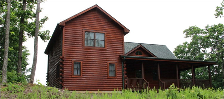 Professional Log Home Borate Application  Fredericksburg City, Virginia